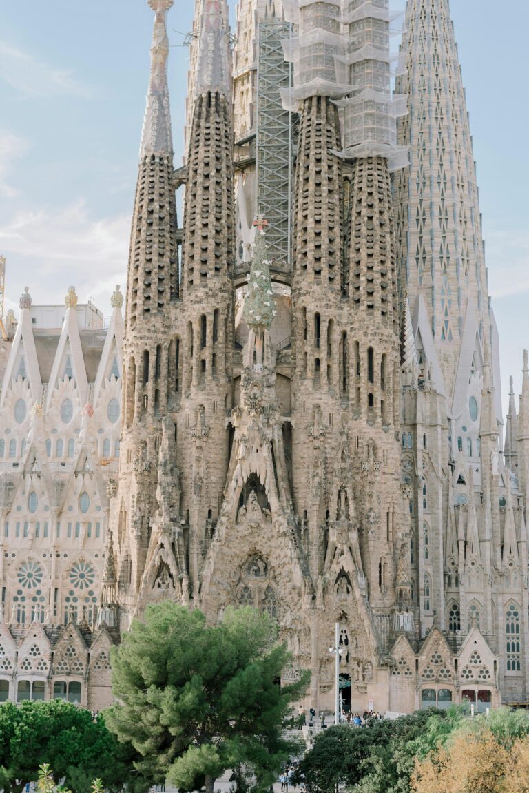 pexels-alinaskazka-14928878